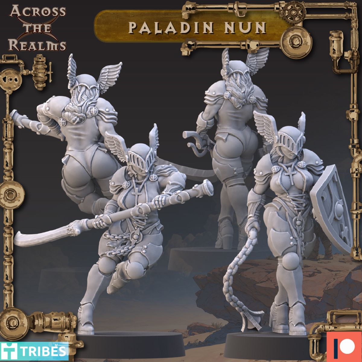 Paladin Nun
