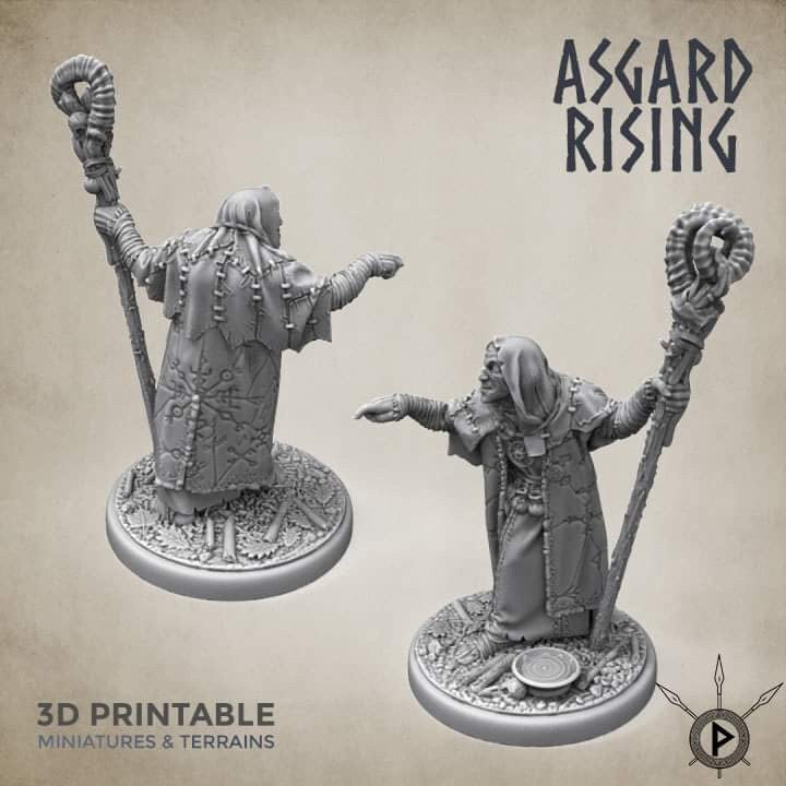 Viking Seer by Asgard Rising (seer / priest / warlock)