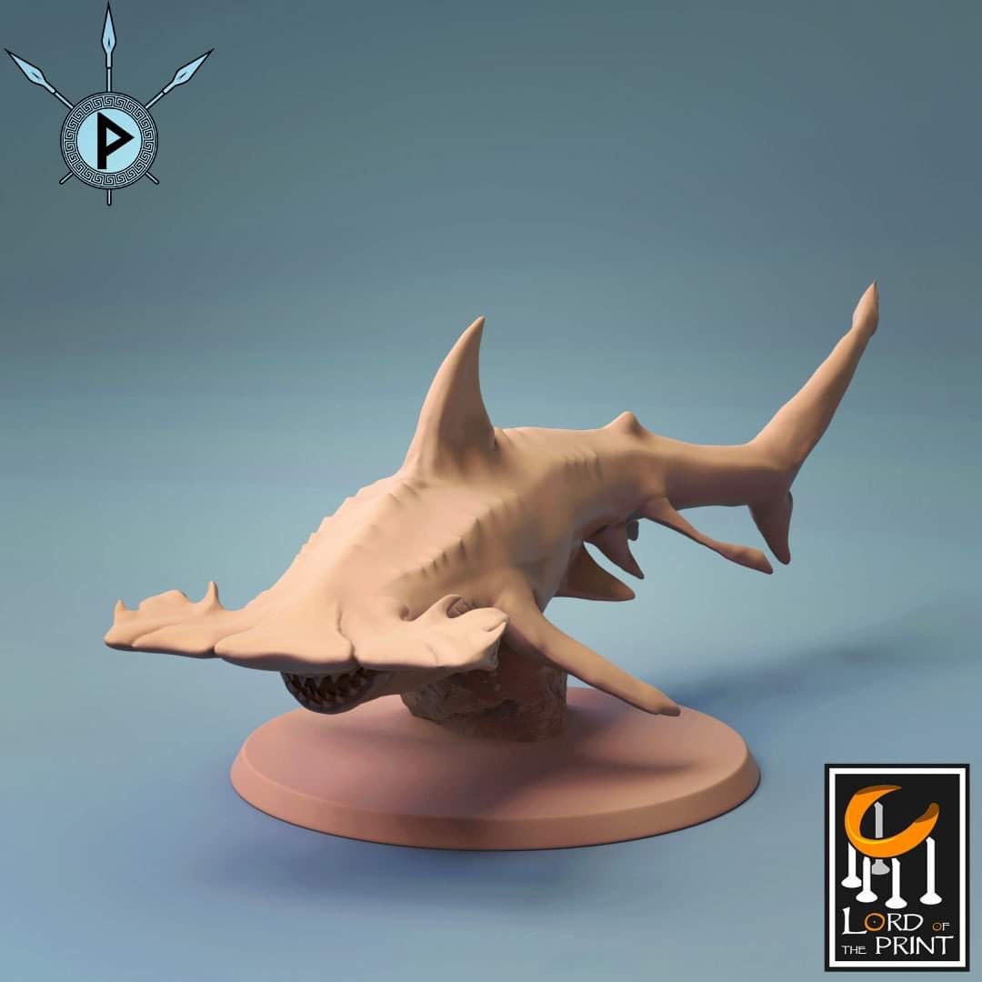 Hammerhead Shark by Lord of the Print