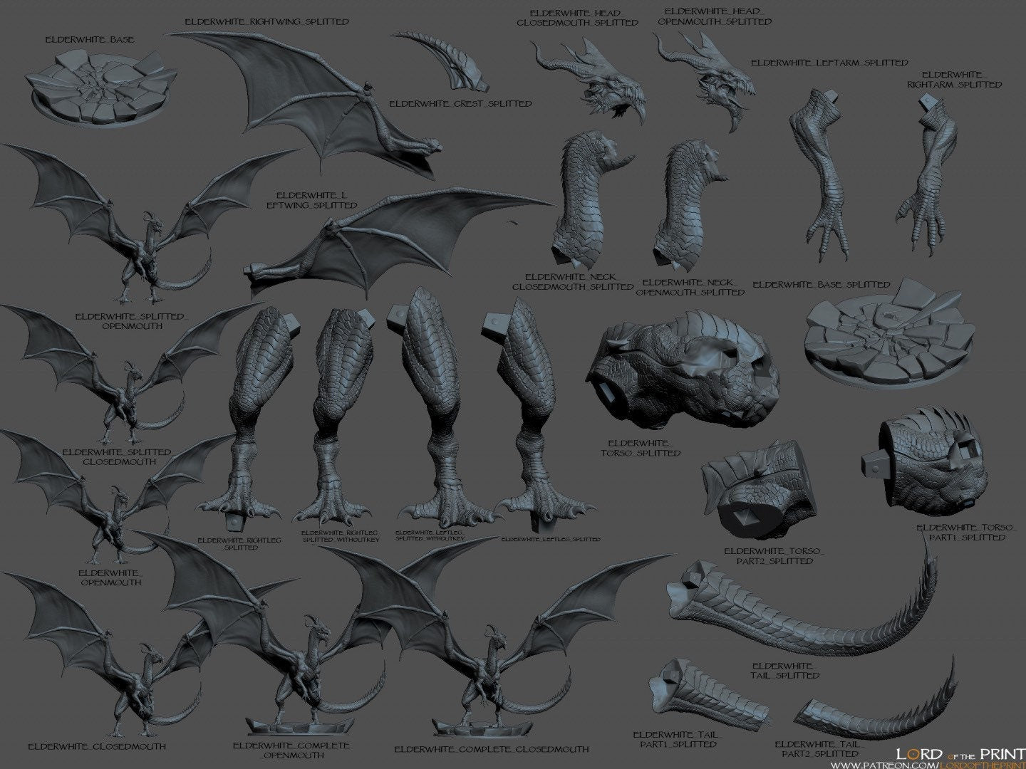 Ancient White Dragon by Lord of the Print