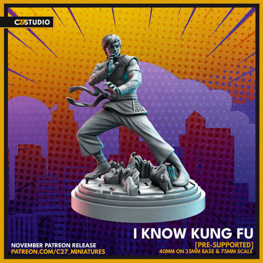 Shang Chi / I Know Kung Fu 40mm miniature (sculpted by C27 collectibles) (Crisis Protocol Proxy/Alternative)
