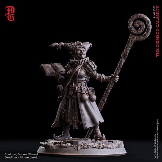 Shalana, Gnome Wizard - The Crimson Calamity (sculpted by Flesh of Gods miniatures)