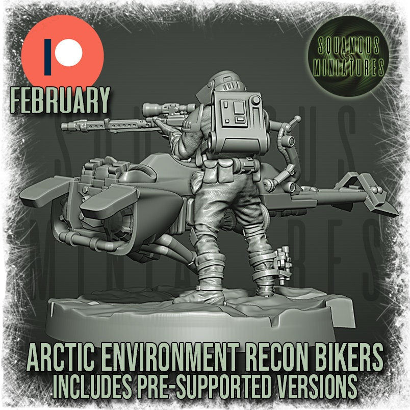 Arctic Environment Recon Biker (2) (Sculpted by Squamous Miniatures)