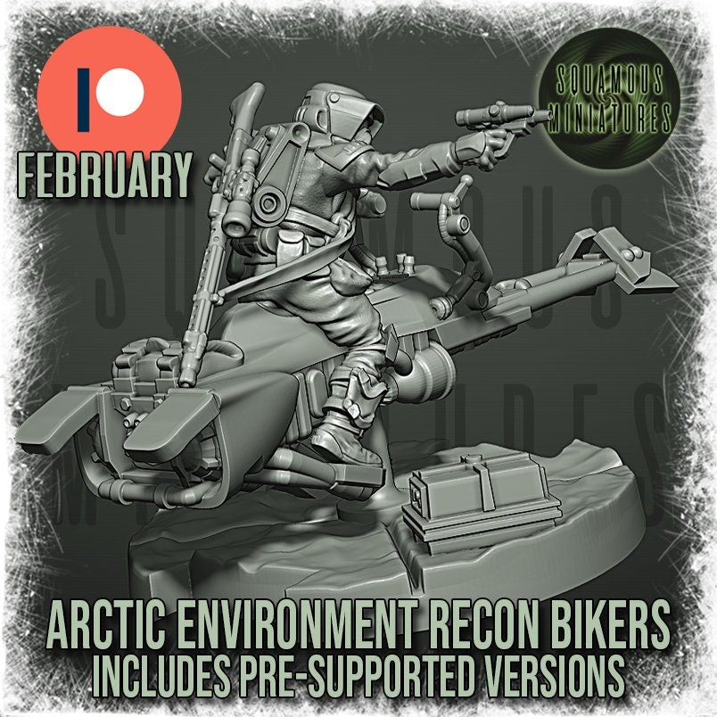 Arctic Environment Recon Biker (3) (Sculpted by Squamous Miniatures)