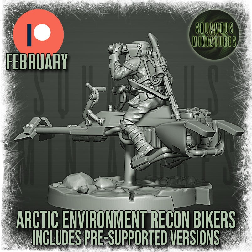 Arctic Environment Recon Biker (4) (Sculpted by Squamous Miniatures)