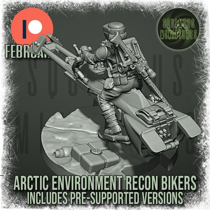 Arctic Environment Recon Biker (1) (Sculpted by Squamous Miniatures)