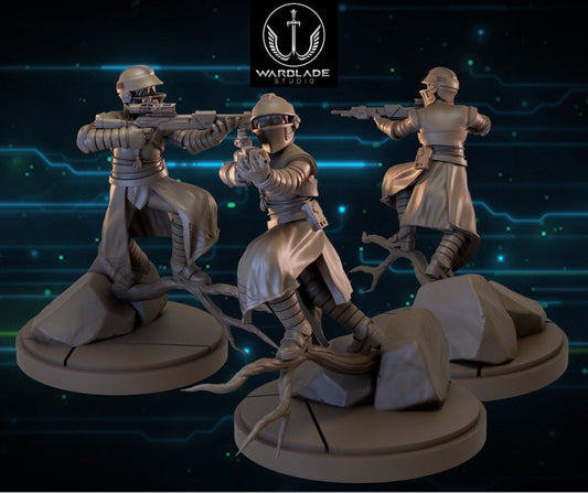 Assassin Fennec - Fan Art (sculpted by Warblade Studios)