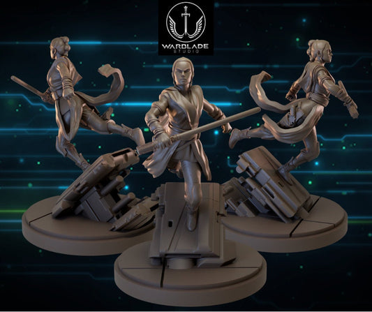 Rey - Fan Art (sculpted by Warblade Studios)