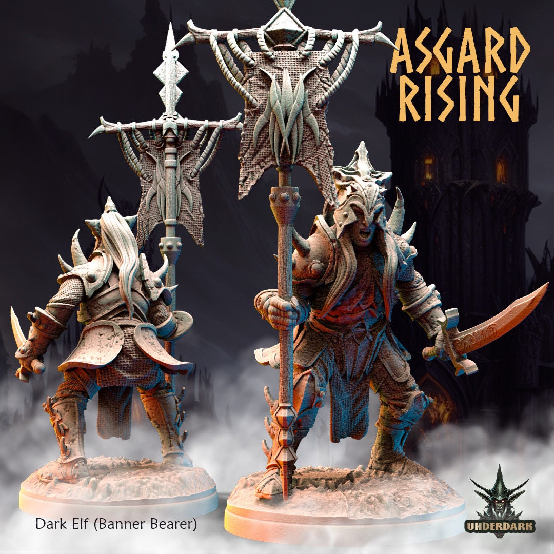 Dark Elf Banner Bearer (sculpted by Asgard Rising)