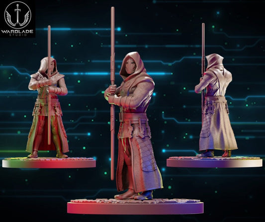 Jedi Temple Guard 01 - Fan Art (sculpted by Warblade Studios)