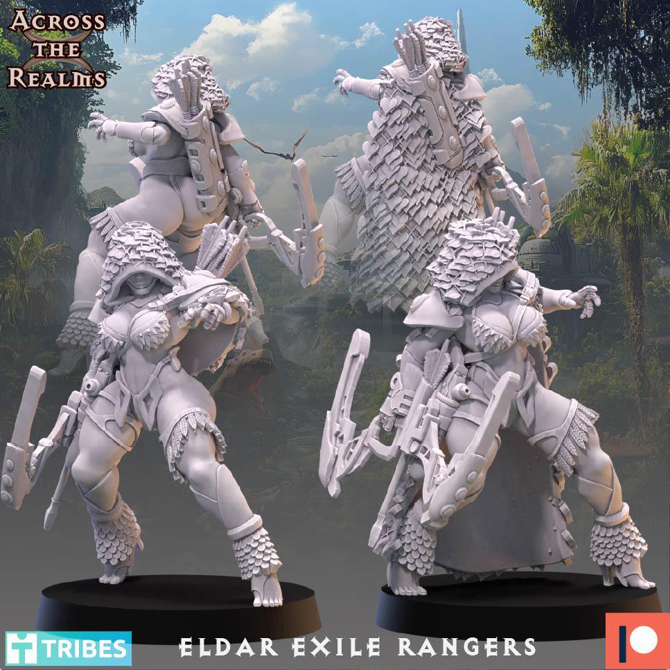 Exile Rangers (5 models) - (sculpted by Across the Realms)