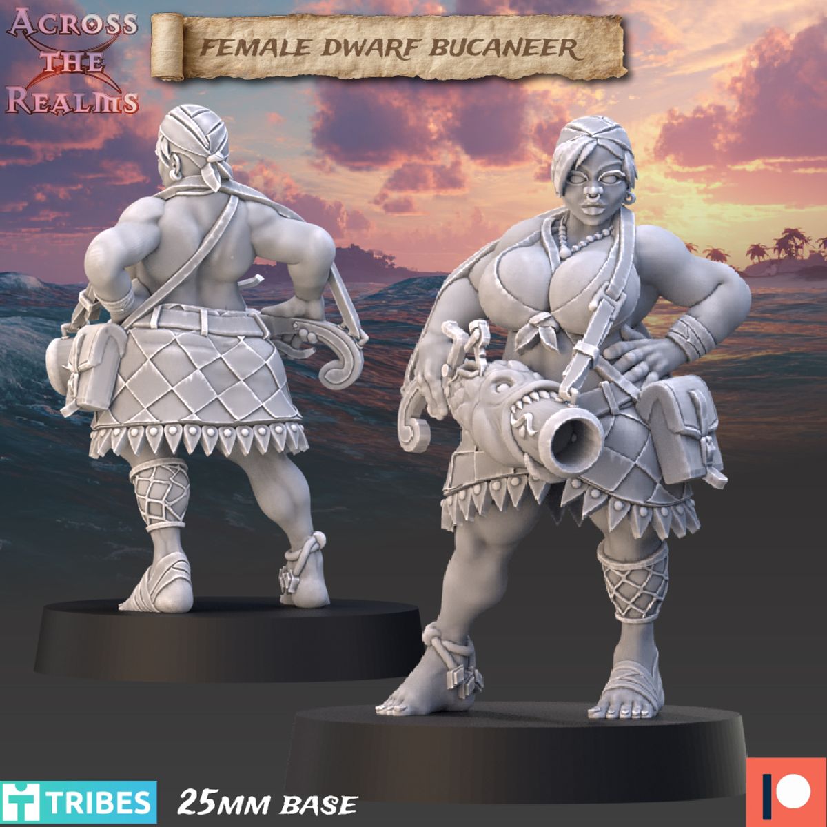 Female Dwarf Buccaneer