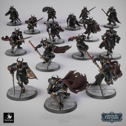 Knights of Bahamut - set of 15 (Sculpted by Rescale Miniatures)