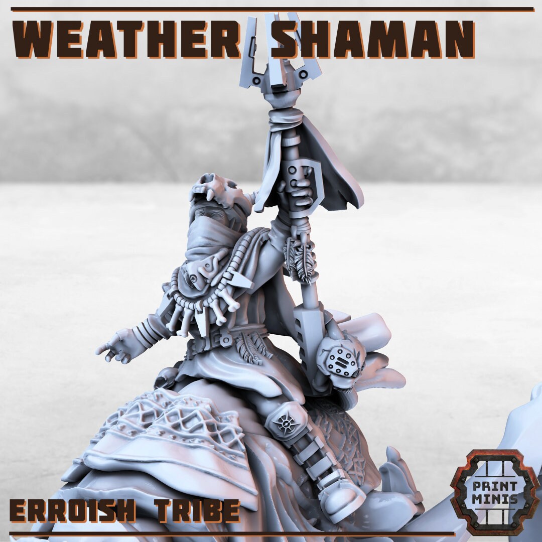 Weather Shaman (by Print Minis)
