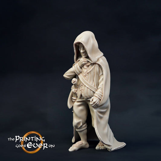 Falco - Halfling in Mona’Firth (sculpted by Print Goes Ever On)