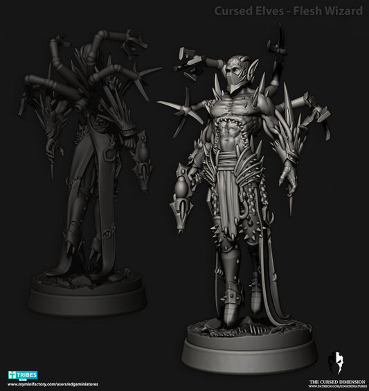 Flesh Wizard - Cursed Elves (Sculpted by Edge Miniatures)