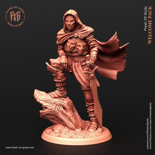 High Order Assassin (sculpted by Flesh of Gods miniatures)
