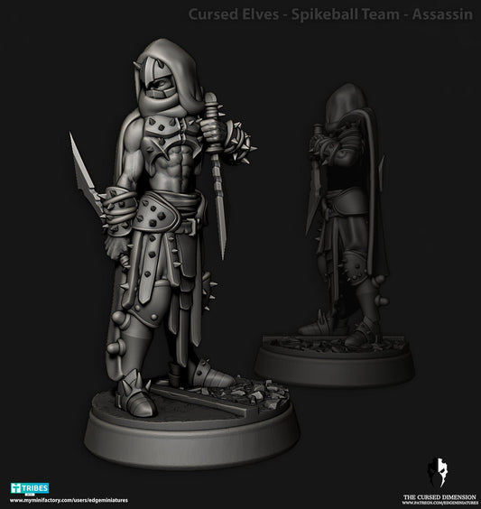 Cursed Elves - Assassin - Spikeball Team (Sculpted by Edge Miniatures)