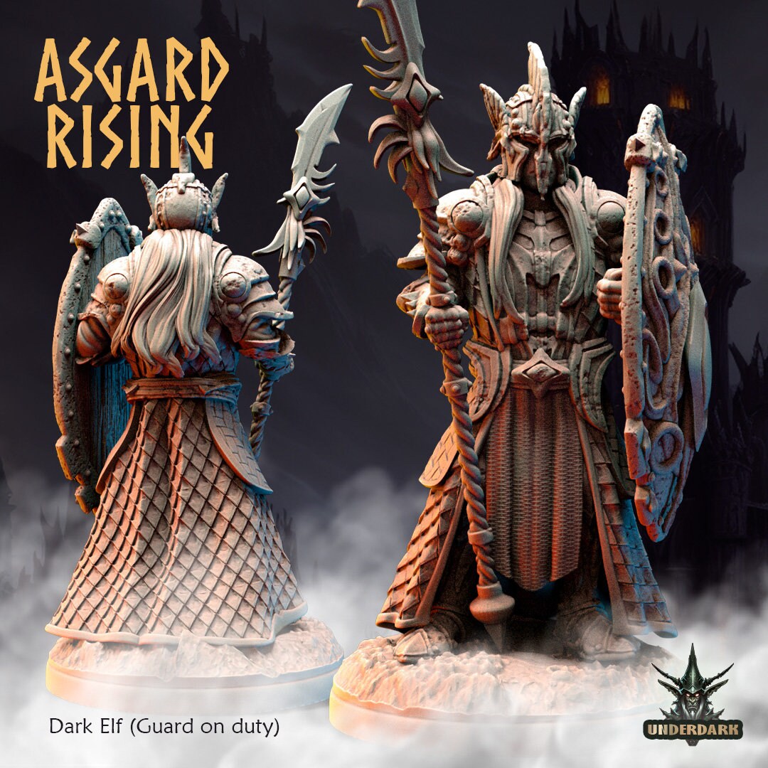 Dark Elf Guard on Duty (sculpted by Asgard Rising)