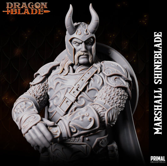 Marshall Shineblade - Fighter Knight (32mm / 75mm / Bust) - Sculpted by Primal Collectibles
