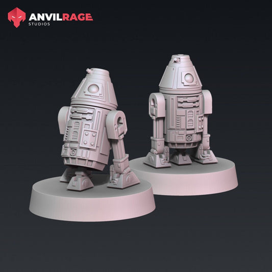 R4 Droid - set of 2 (Sculpted by Anvilrage Studios)