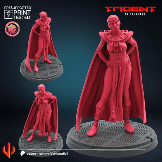 Mother Superior (Fan art sculpted by Trident Studio) (Crisis Protocol Proxy/Alternative)