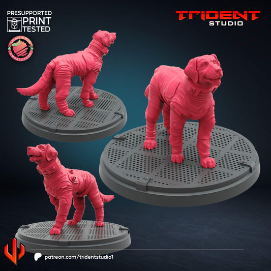 Cosmos (Fan art sculpted by Trident Studio) (Crisis Protocol Proxy/Alternative)