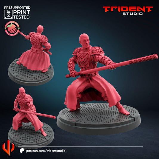 Ta Lo Army A (Fan art sculpted by Trident Studio) (Crisis Protocol Proxy/Alternative)
