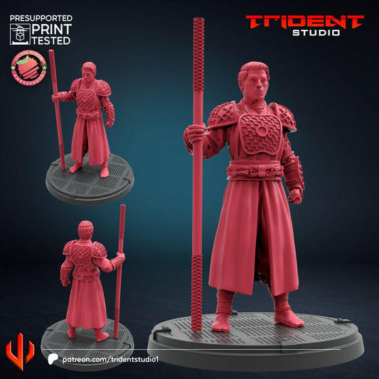 Ta Lo Army C (Fan art sculpted by Trident Studio) (Crisis Protocol Proxy/Alternative)
