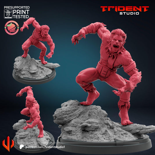 Puma (Fan art sculpted by Trident Studio) (Crisis Protocol Proxy/Alternative)