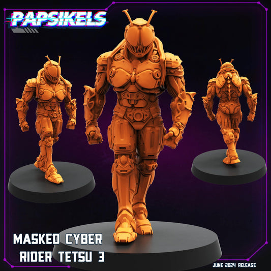 Masked Cyber Rider Tetsu 3 (sculpted by Papsikels)