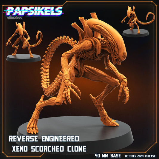 Reverse Engineered Xeno Scorched Clone - Xenomorph Fan Art (sculpted by Papsikels)