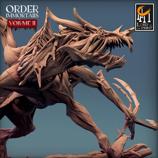 Drake - Attack - Order Immortalis II (Sculpted by Rescale Miniatures)