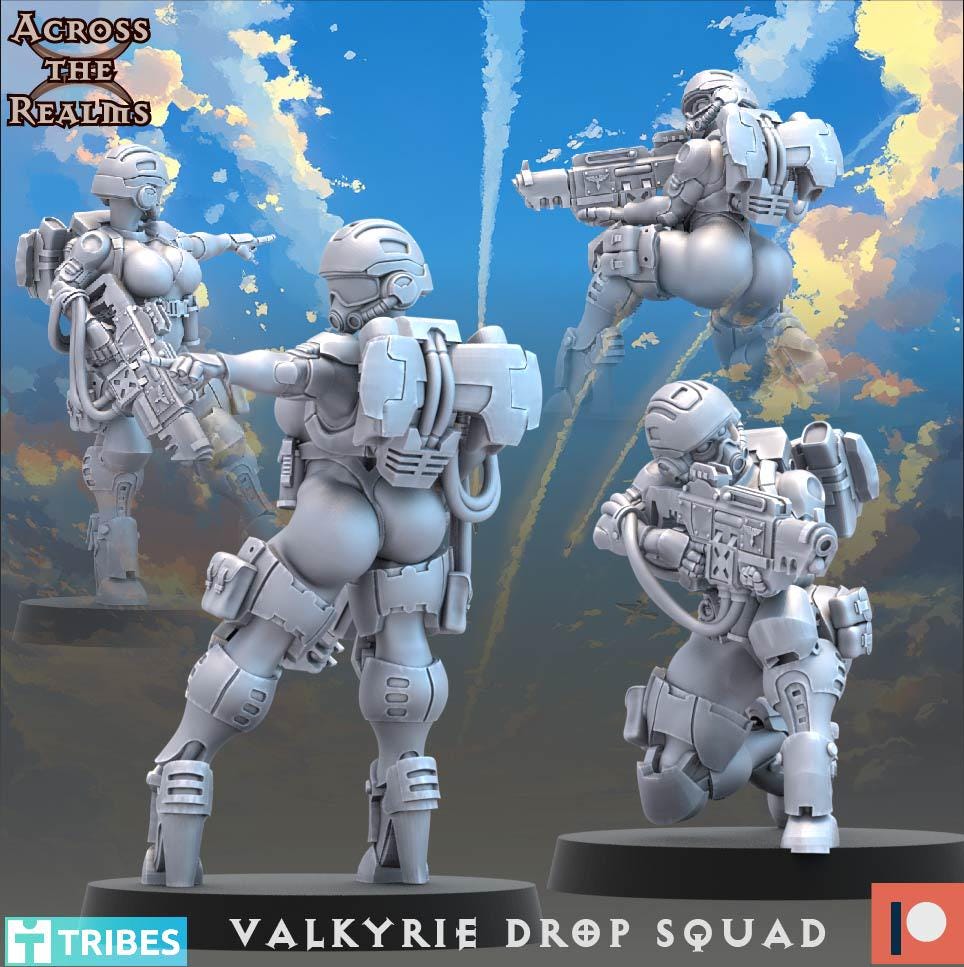 Valkyrie Drop Squad (13 Models) - (sculpted by Across the Realms)