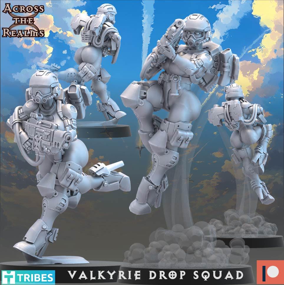 Valkyrie Drop Squad (13 Models) - (sculpted by Across the Realms)