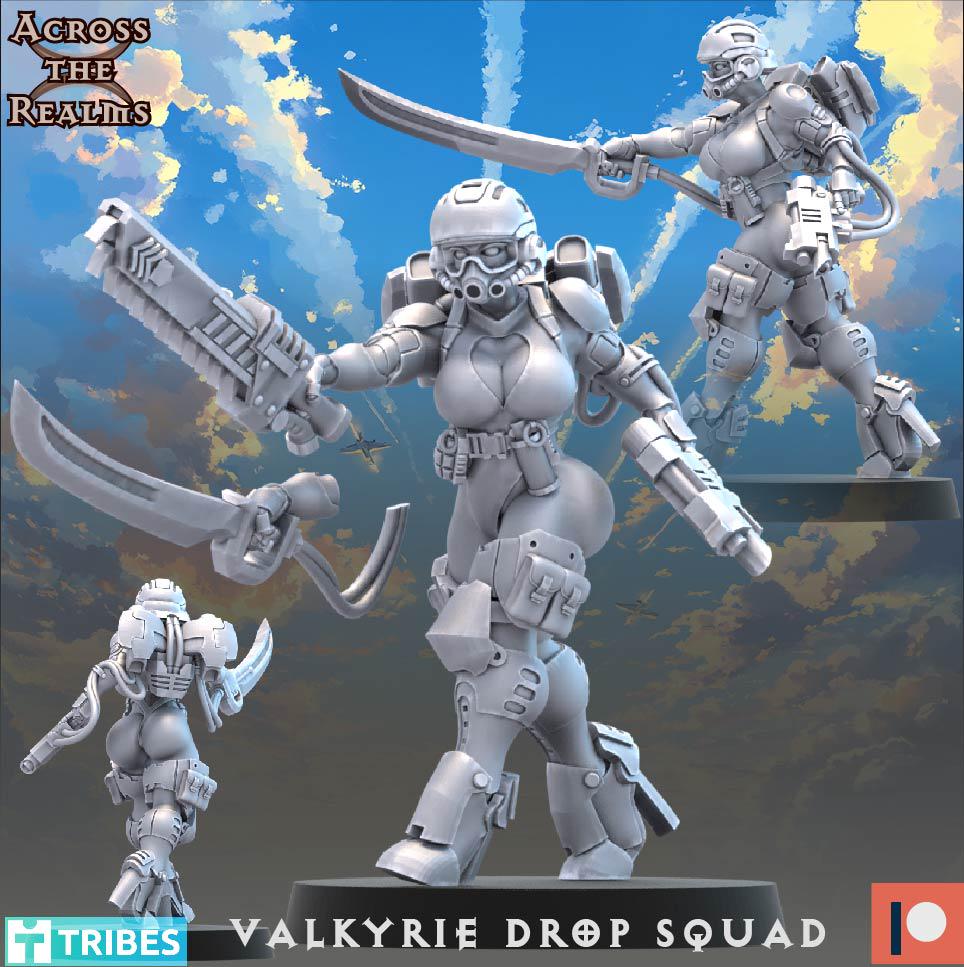 Valkyrie Drop Squad (13 Models) - (sculpted by Across the Realms)
