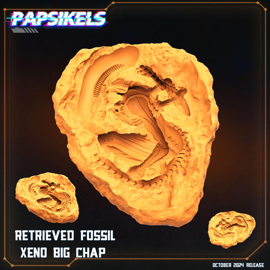 Retrieved Fossil - Xeno Big Chap - Xenomorph Fan Art (sculpted by Papsikels)