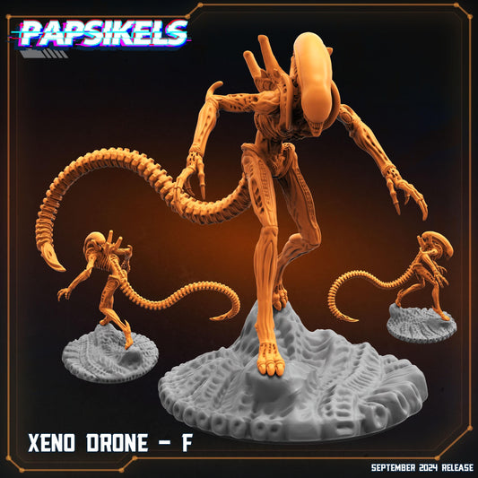 Xeno Drone (F) (sculpted by Papsikels)