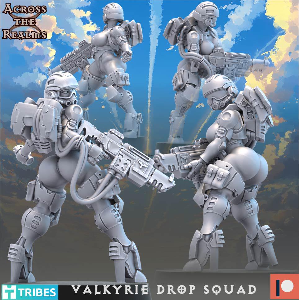 Valkyrie Drop Squad (13 Models) - (sculpted by Across the Realms)