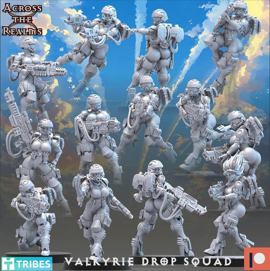 Valkyrie Drop Squad (13 Models) - (sculpted by Across the Realms)
