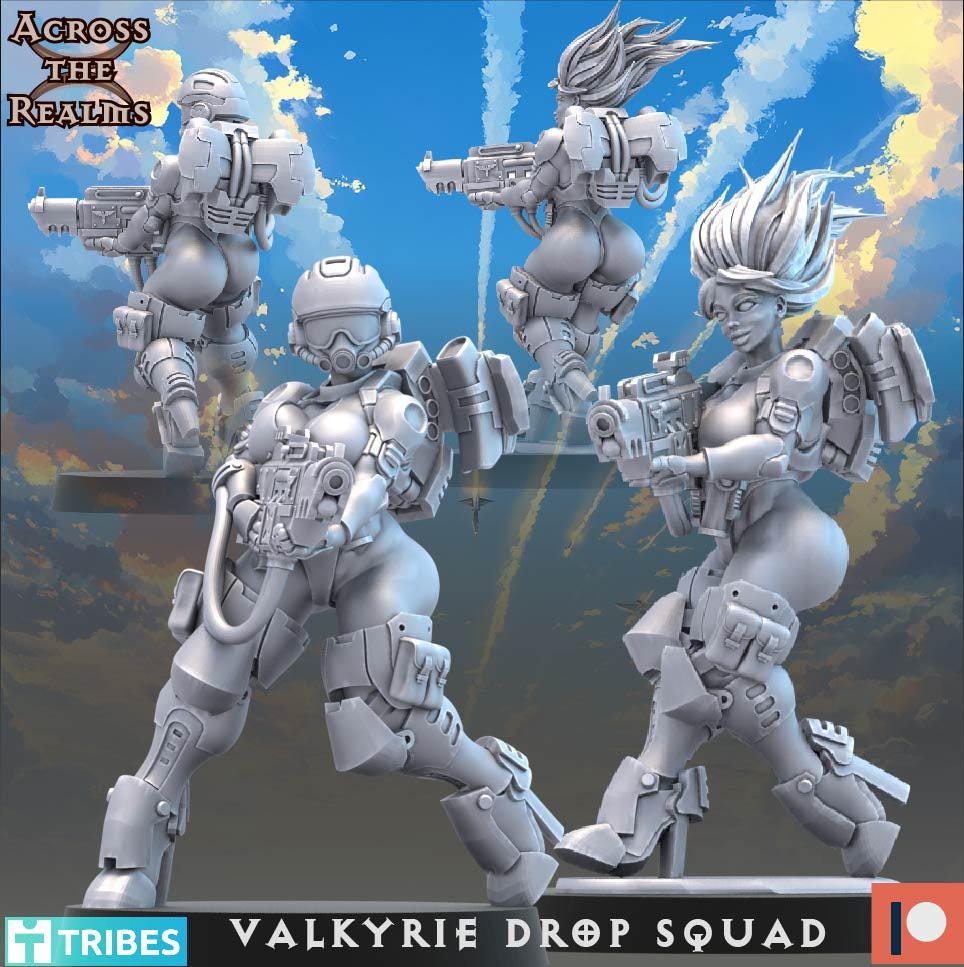 Valkyrie Drop Squad (13 Models) - (sculpted by Across the Realms)