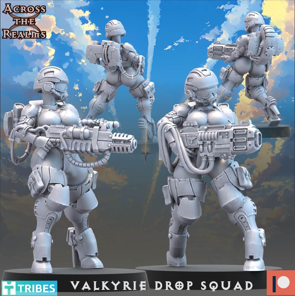 Valkyrie Drop Squad (13 Models) - (sculpted by Across the Realms)