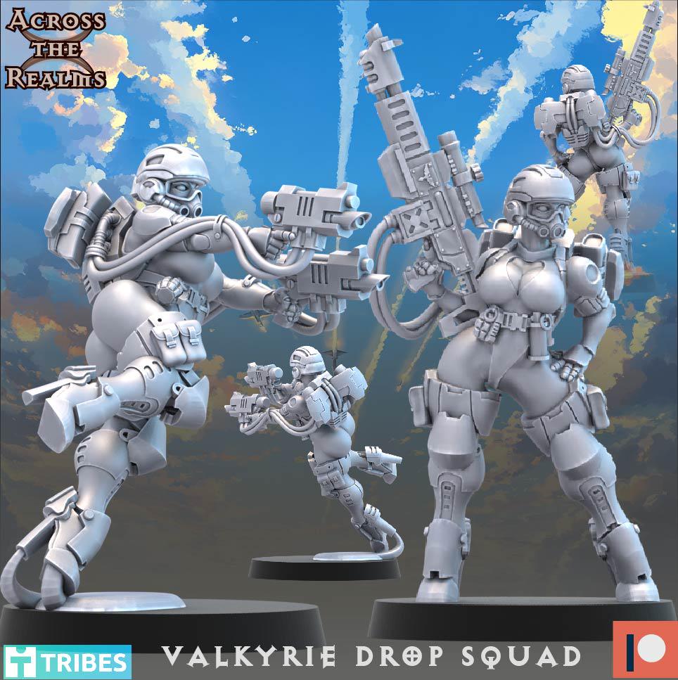 Valkyrie Drop Squad (13 Models) - (sculpted by Across the Realms)