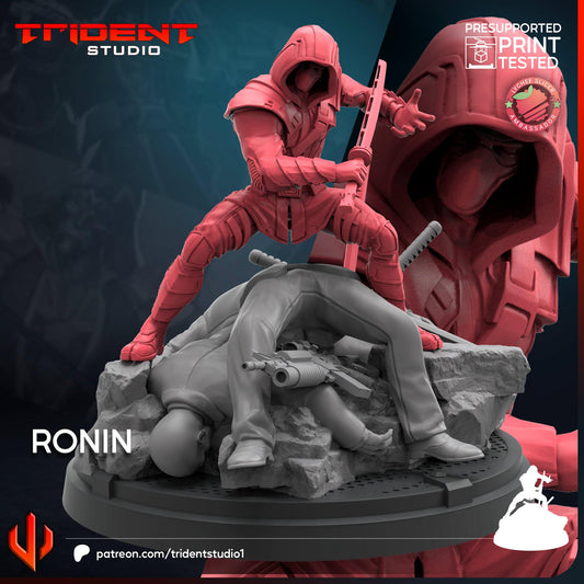 Ronin (Fan art sculpted by Trident Studio) (Crisis Protocol Proxy/Alternative)