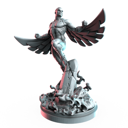Falcon render