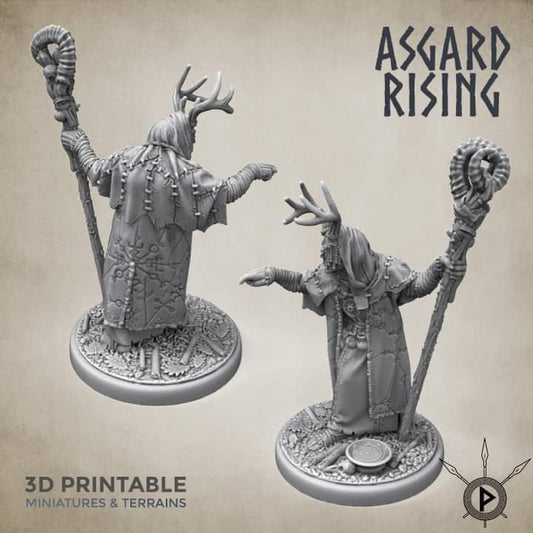 Viking Seer by Asgard Rising (seer / priest / warlock)