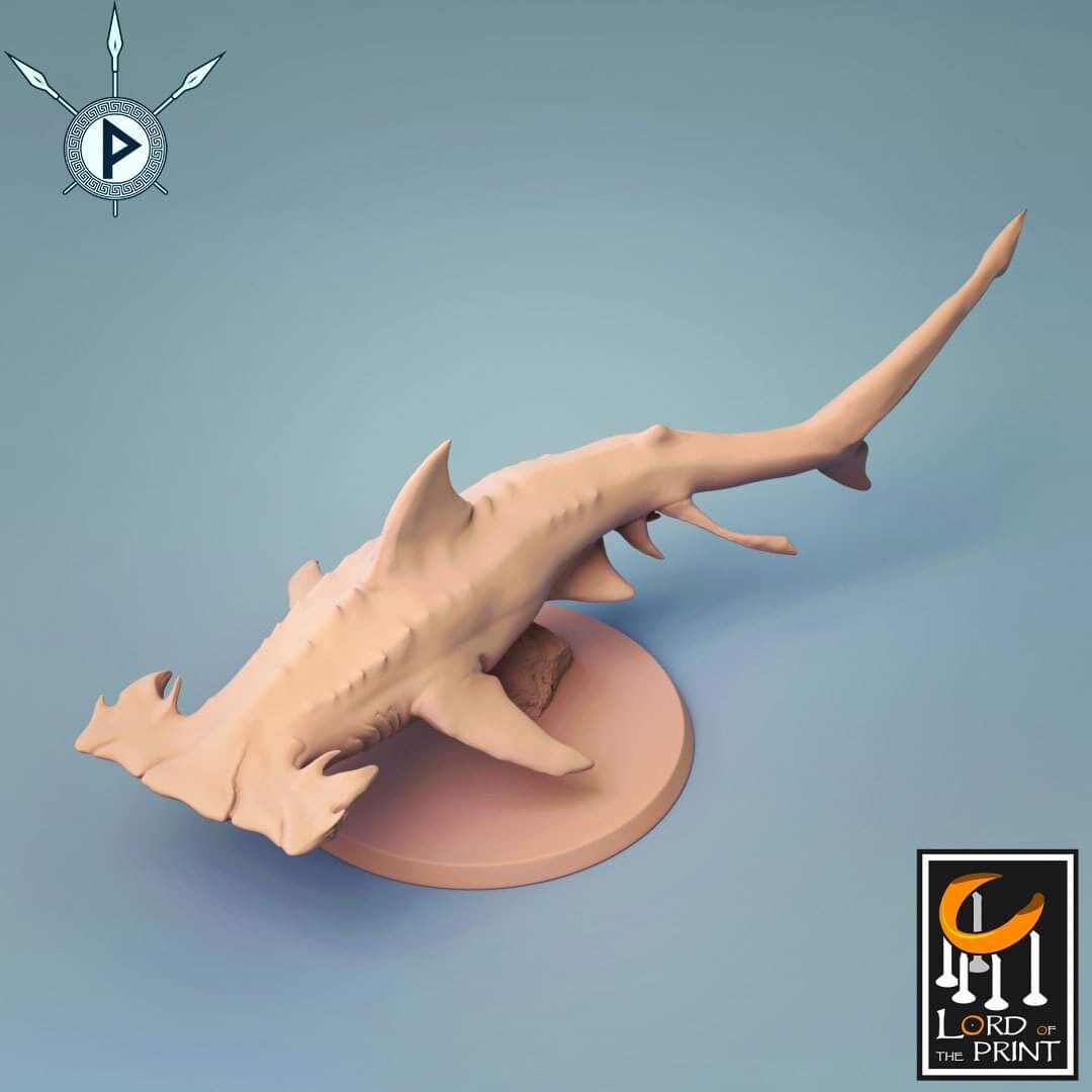 Hammerhead Shark by Lord of the Print