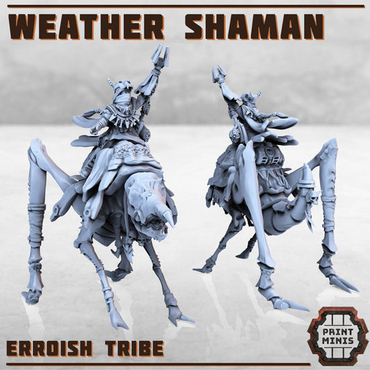 Weather Shaman (by Print Minis)