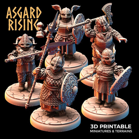 Dwarf Shield Maidens Modular Warband (set of 5) by Asgard Rising