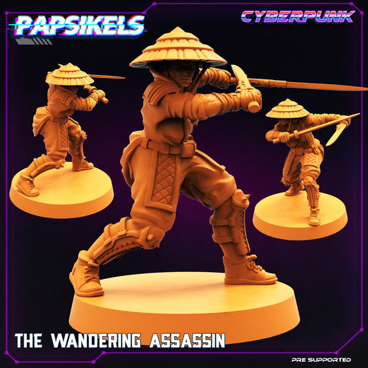 The Wandering Assassin (sculpted by Papsikels)